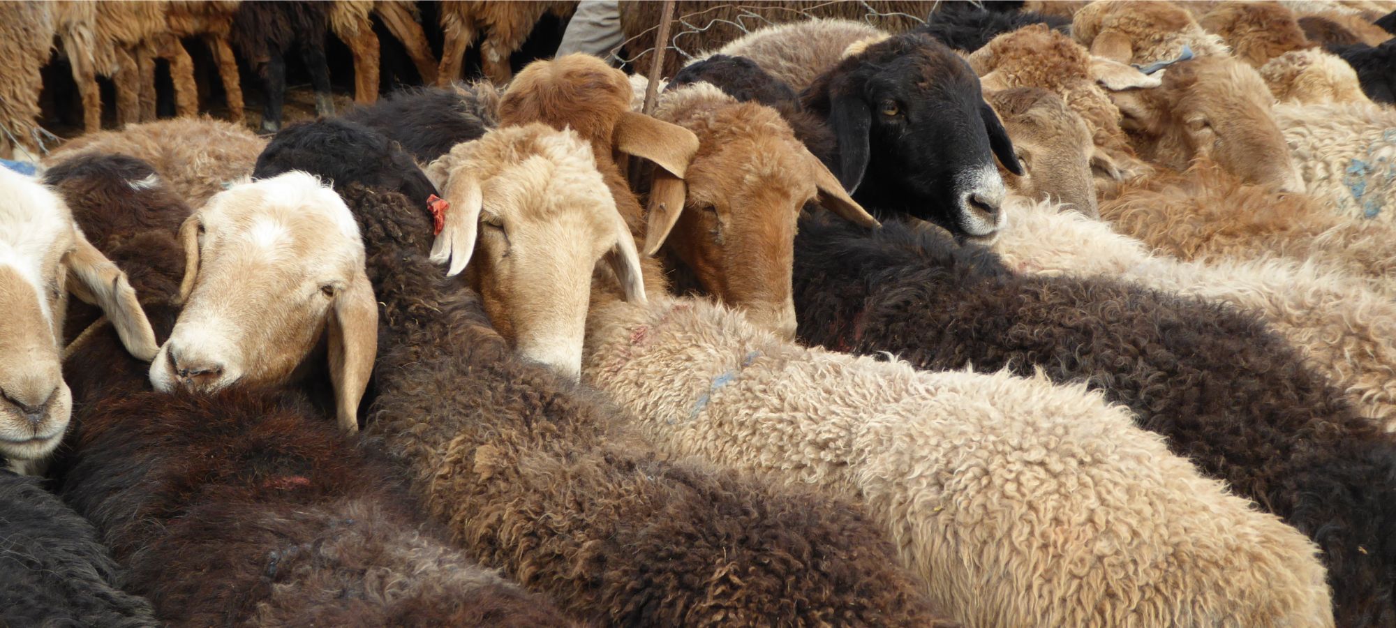 Photos from our Karakoram Highway Cycling Holiday